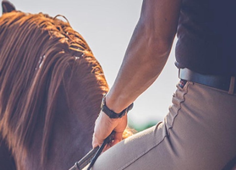 Camping du Goh'velin, 3* - 9