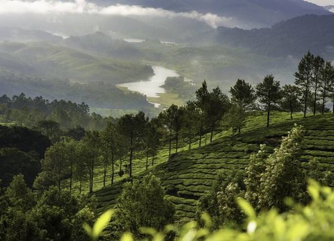 Temples et épices - Inde du Sud - 10