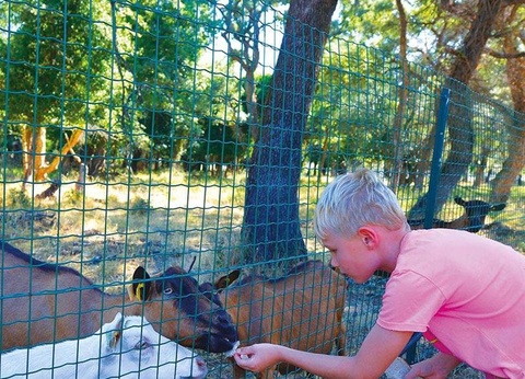 Camping Via Romana, 3* - 29