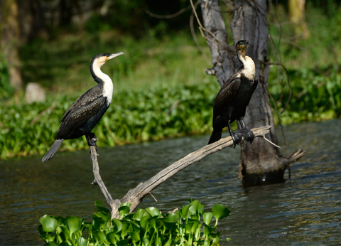 Circuit Lumières de la Savane Africaine - 13