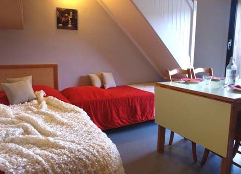 VVF Le Lioran Les Monts du Cantal 3* - 12