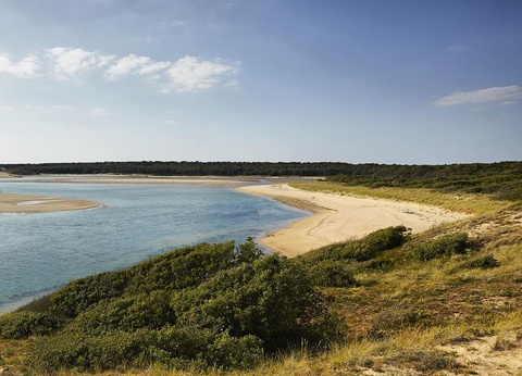 Flower Camping Le Petit Paris, 4* - 49