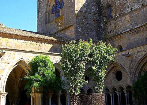 Camping Le Fun, 4* - 52