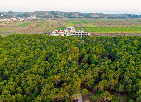 Club Framissima Amber Village 4* - 15