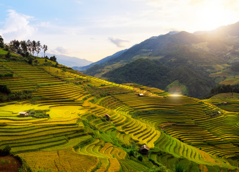 Circuit Aux origines du Vietnam : de Mu Cang Chai à Ta Giang Phin - 24