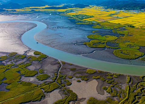 Combiné : La Grande Découverte du Japon et de la Corée en 3 semaines - 3