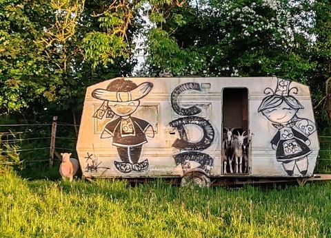 Camping Les Peupliers 3* - 36