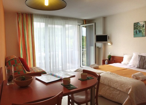 VVF Alsace Orbey Colmar 3* en demi-pension - 11