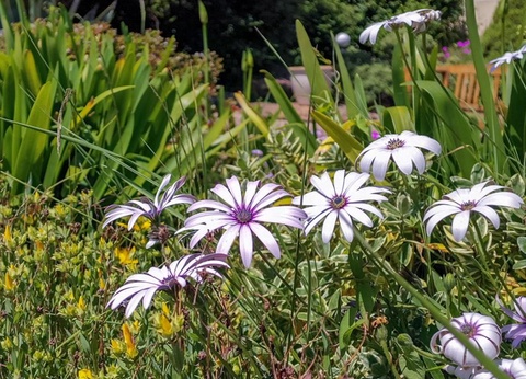 Camping West, 3* - 88