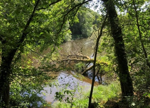 Camping Ty Nenez, 3* - 69