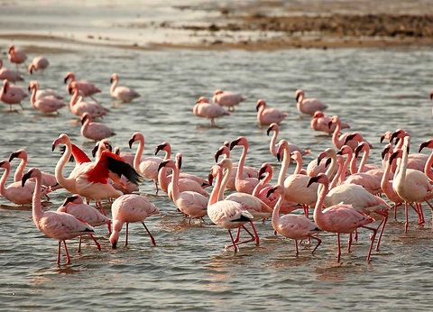 Circuit Chemins oubliés d'Afrique australe - 10