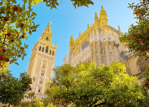 Hôtel Autotour Viva Andalousie 4* & 5* - 9