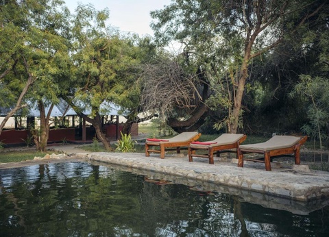 Safari Privatif - Aventure Tanzanienne - 28