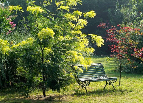 Nature et charme dans une ancienne chapelle à Arles - 4* - 8