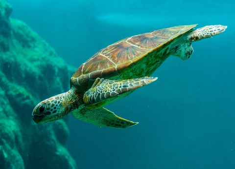 Circuit Archipel d'Émeraude : voyage aux Philippines authentiques - 6