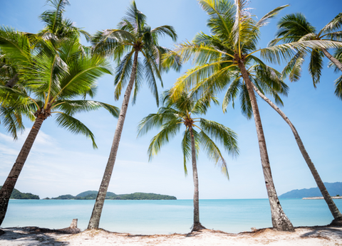 De Kuala aux sables de Langkawi 4* - 5