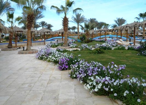 Combiné Secrets d'Egypte et Long Beach Resort 4* Hurghada - 11