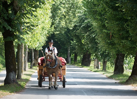 Circuit Secrets de la Slovénie - 2