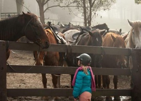 Camping Village de Reneville, 3* - 38