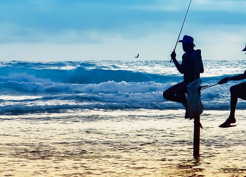 Circuit Les Incontournables du Sri Lanka et Extension Anantaya Resort & Spa 5*nl - 6