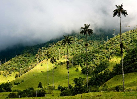 Circuit Le diamant vert - 5