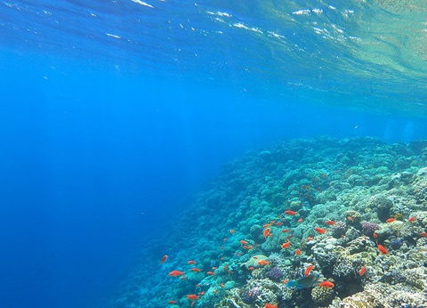 Croisière Douceur sur le Nil - 2