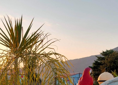 Camping Tikiti, 3* - 43