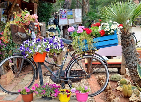 Camping Village El Bahira, 4* - 27