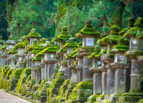 Circuit individuel: Monts et mers veillent en 3*ou 4* - 11