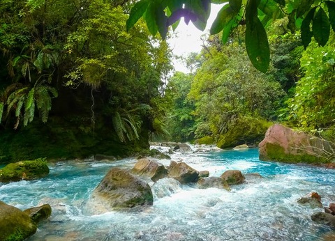 Circuit Explorations du Costa Rica et Extension Playa Tambor - 12