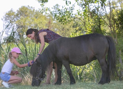 Camping DéfiPlanet', 4* - 15