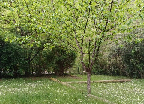 Camping La Bernede, 3* - 22