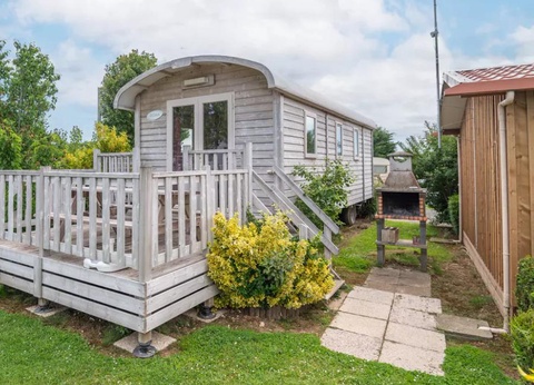 Flower Camping Vitamin, 4* - 24