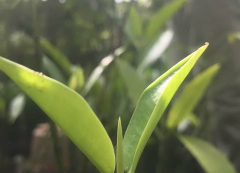 Circuit Koggala : déconnexion totale en pleine nature - 7