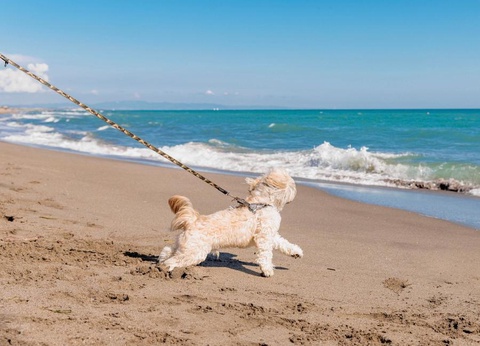 Gitavillage Club degli Amici - 23