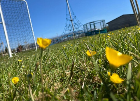 Camping Lizoé - Entre pierres et mer, 3* - 6