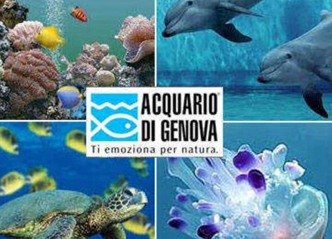 Camping Villaggio C'Era Una Volta, 3* - 37