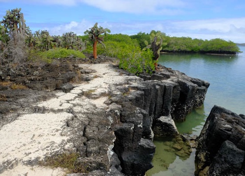 Circuit L'Équateur entre nature et authenticité + extension Galapagos (maximum 16 participants) - 18