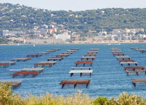 Camping Les Berges du Canal, 4* - 54