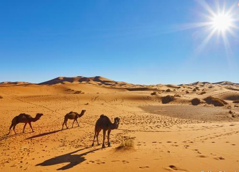 Club Jumbo Baya Beach Quatre Saisons by Medina 3* - 13