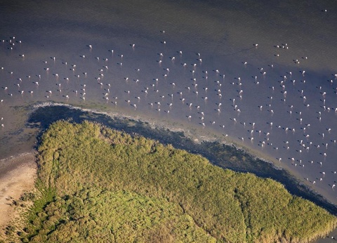 Camping SUNELIA Ma Prairie, 4* - 90