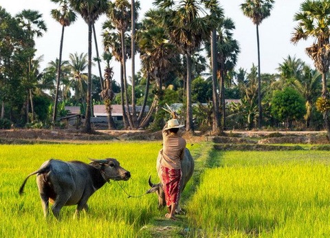 Cambodge Emotion + city break Singapour - 9