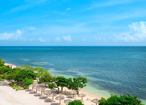 Hôtel Iberostar Waves Rose Hall Beach - 12