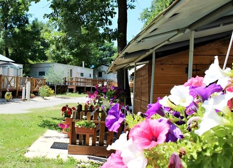 Camping Lou Troumpetoun - 10