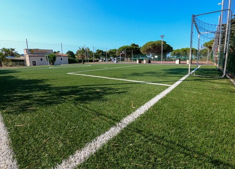 Camping Domaine Les Mûriers, 4* - 5