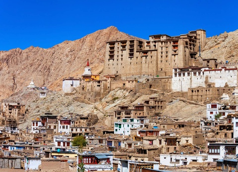 Circuit Voyage au pays Ladakhi : du tumulte de Delhi au silence des hauts plateaux **** - 11