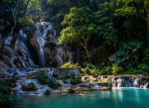 Circuit Lotus du Laos - 14