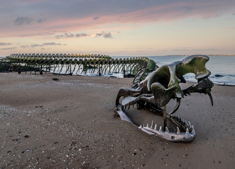 Résidence Référence Le Domaine de L'Océan - 28