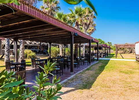 Hôtel Yadis Hammamet 4* - 13