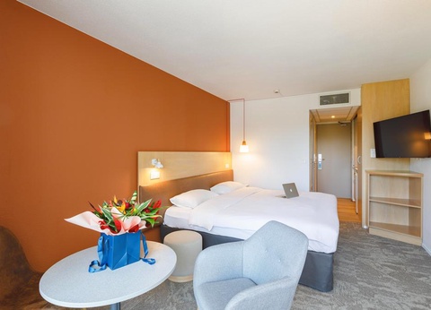 Ibis Styles Domaine de Marlioz 3* + cure - 15